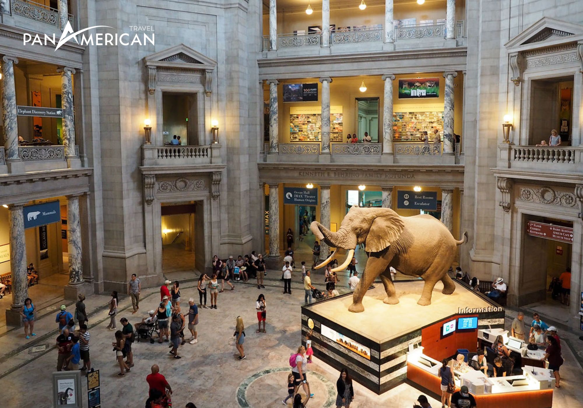 Viện bảo tàng lịch sử tự nhiên Hoa Kỳ nổi tiếng