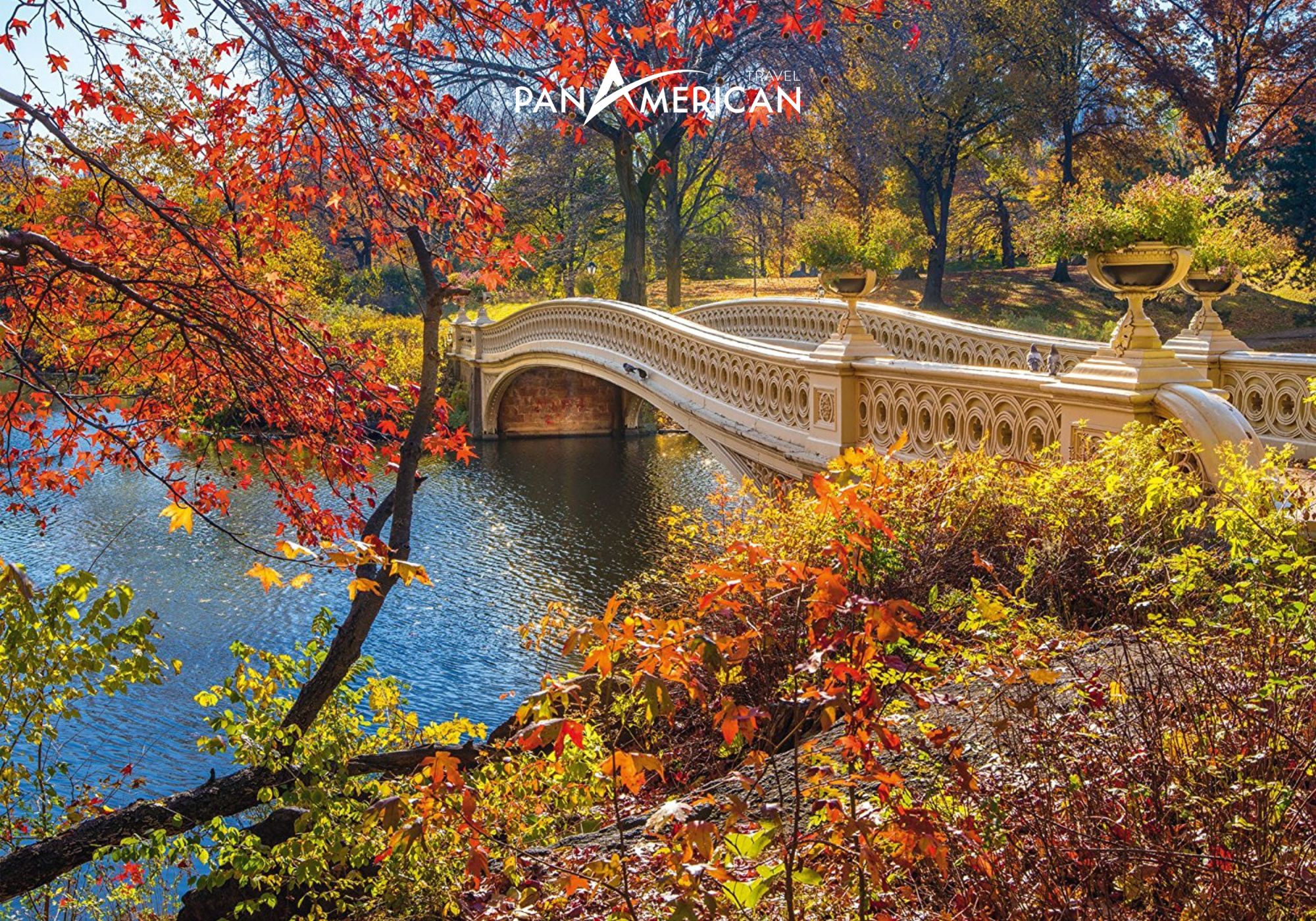 Những cây cầu vắt ngang trên hồ tại công viên Central Park