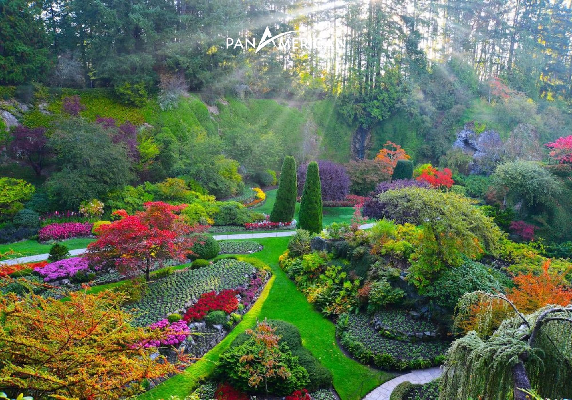Khiến cho mọi du khách phải si mê từ cái nhìn đầu tiên bởi vẻ đẹp của khu vườn
