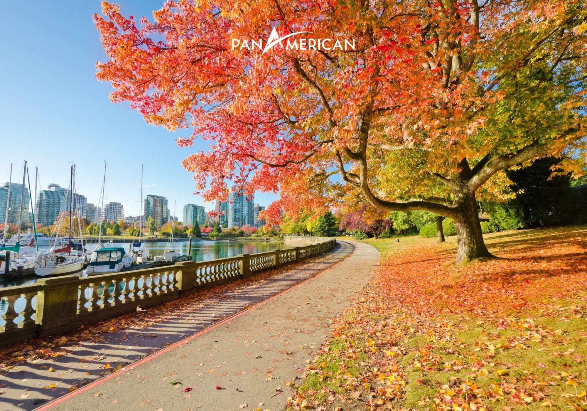Thành phố Vancouver tại Canada khi thu sang