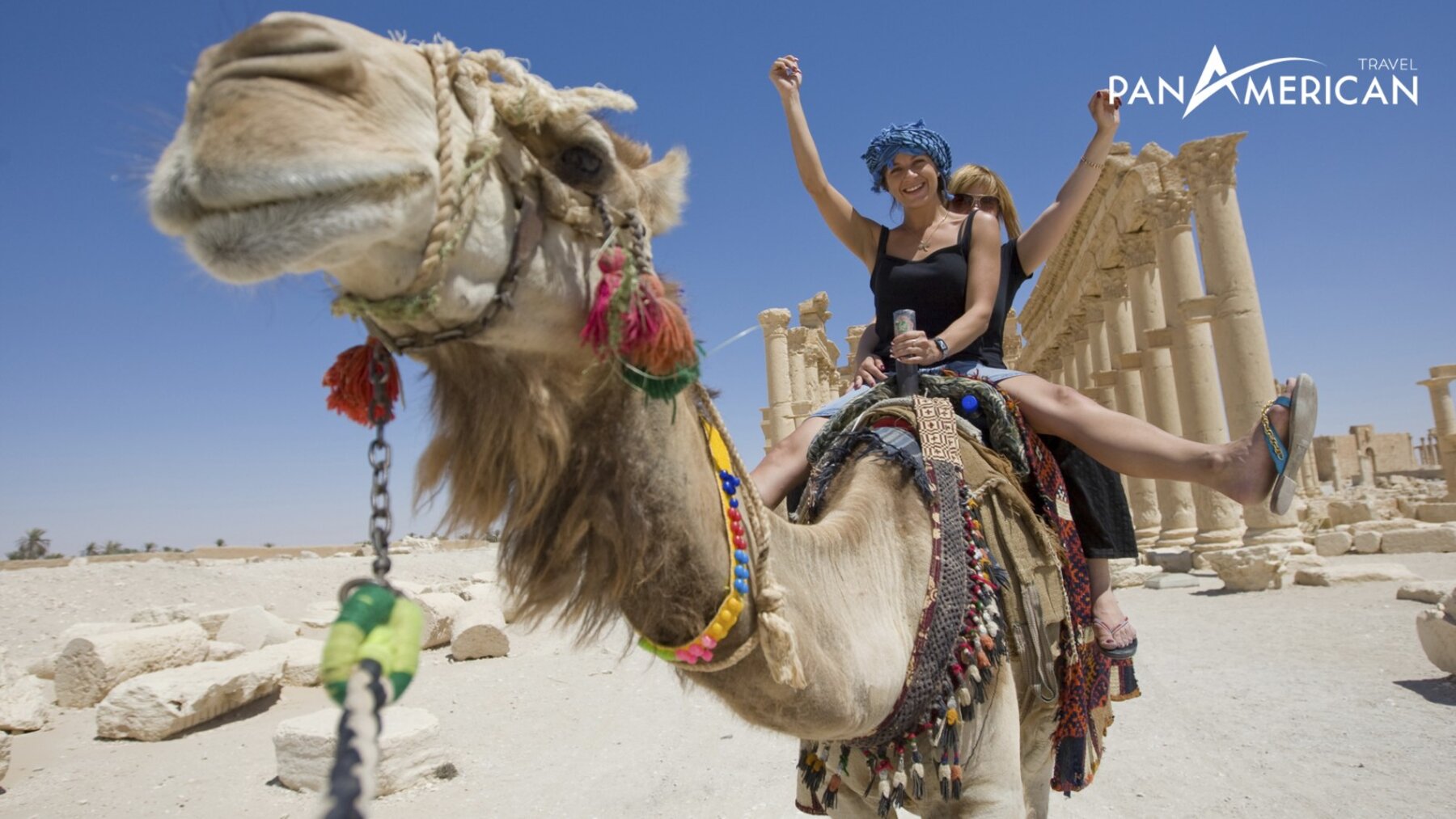Trải nghiệm cưỡi lạc đà ở Aswan 