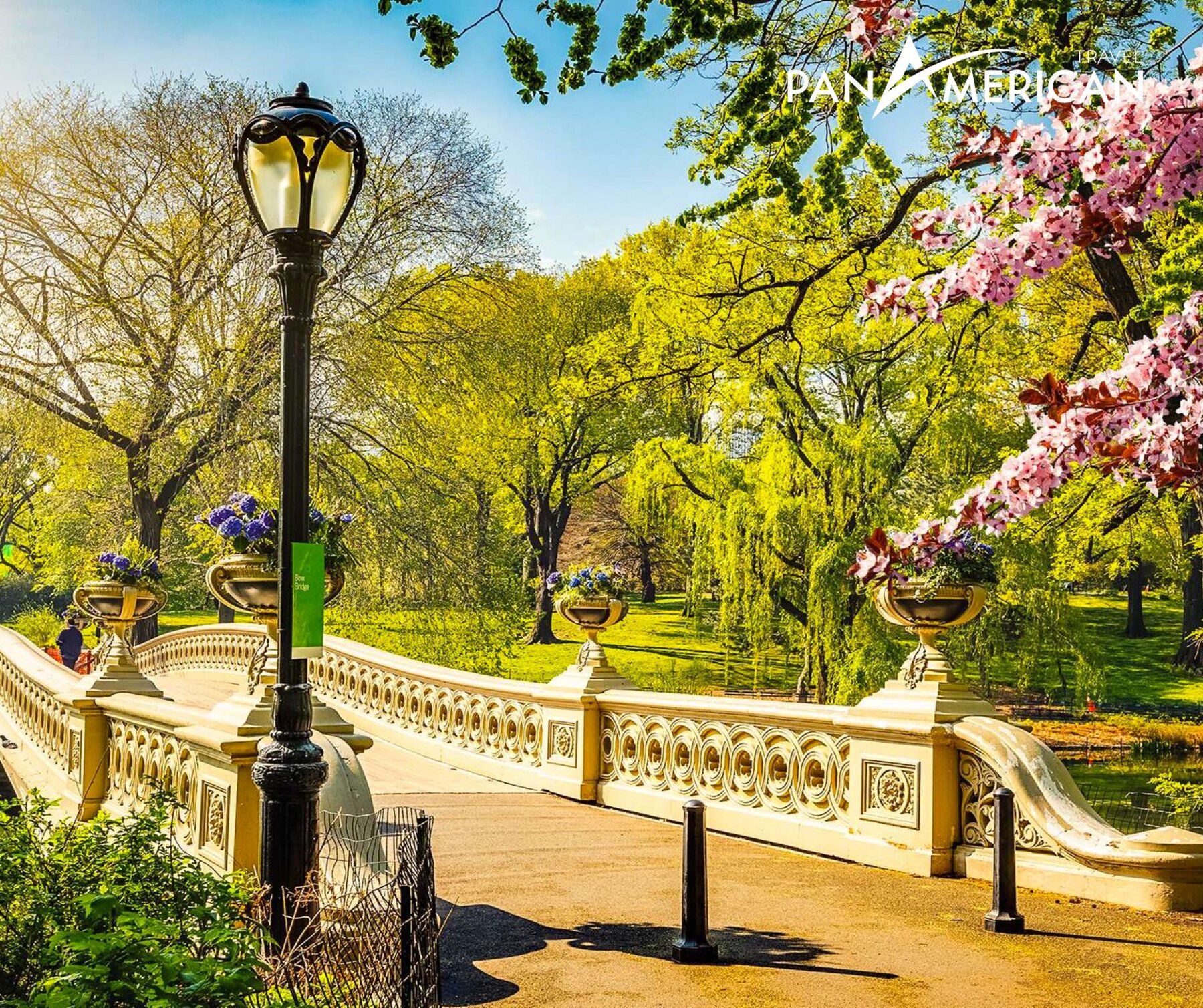 Cảnh sắc tươi mới, đầy sức sống của Central Park