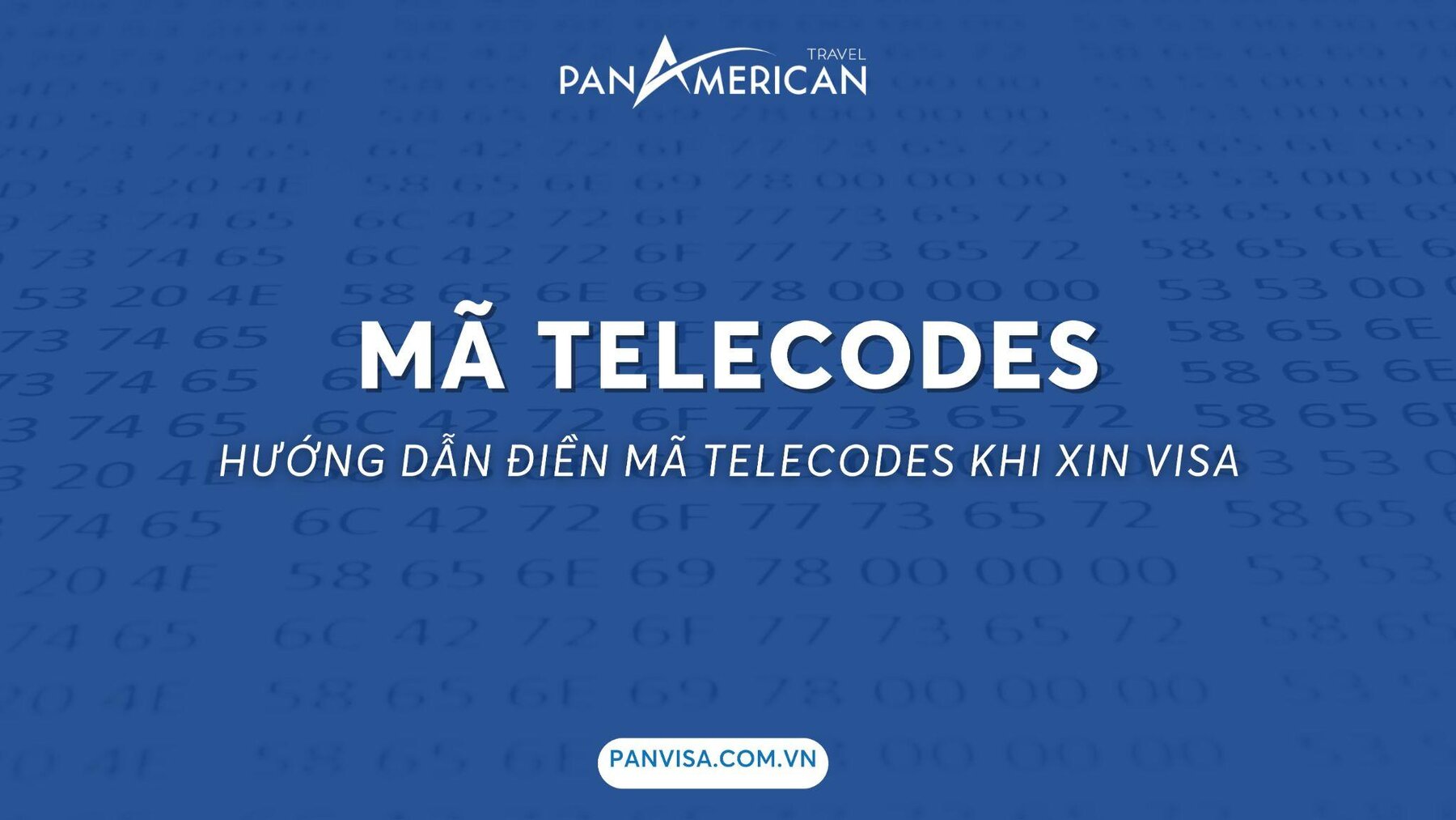 Mã Telecode là gì? Hướng dẫn điền mã Telecode khi khai form xin visa