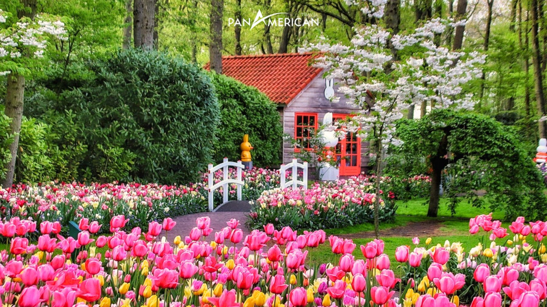 Thiên đường hoa tulip